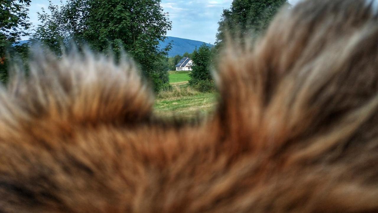 Rezydencja Ostoja Stronie Śląskie Exteriér fotografie