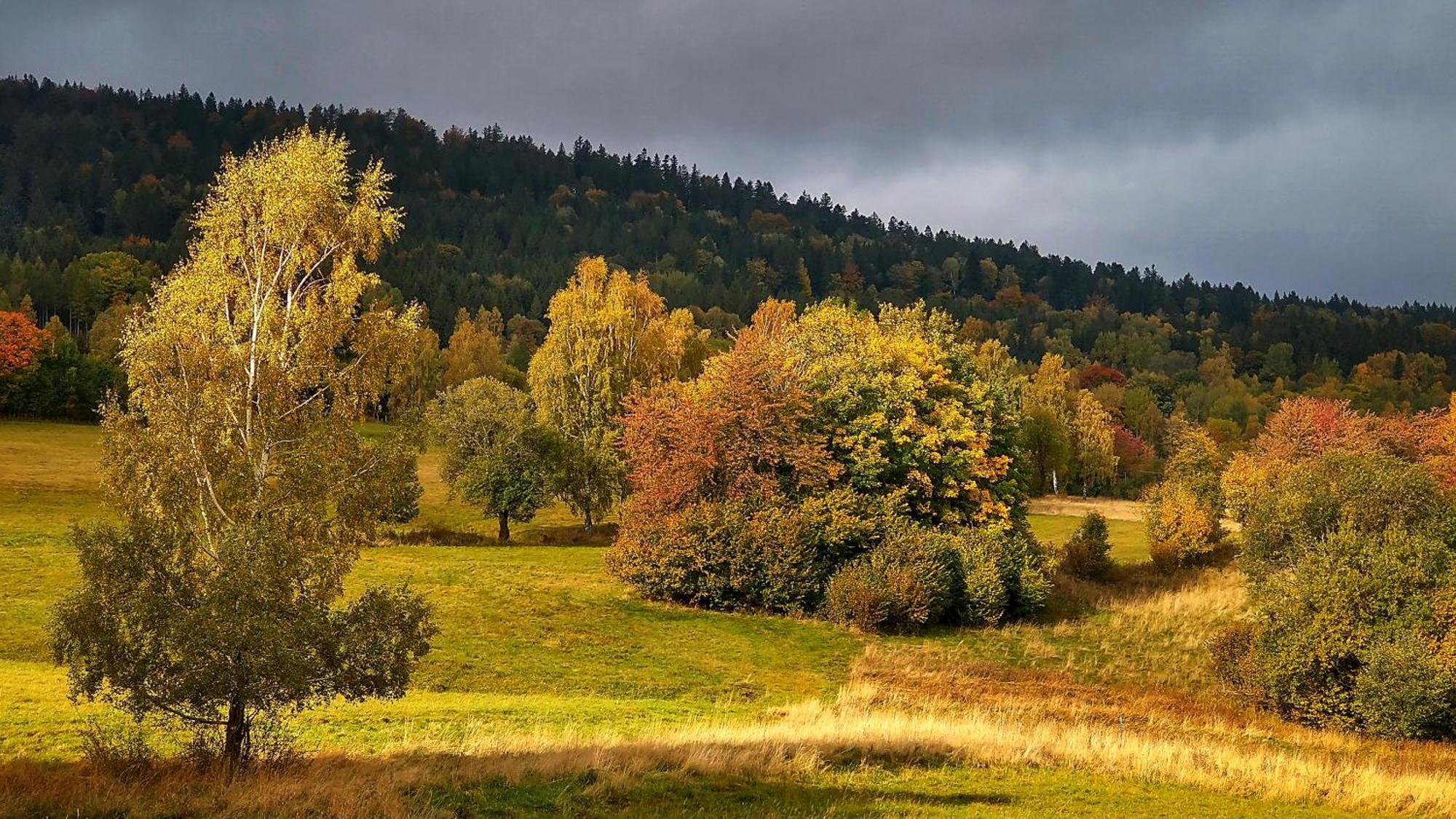 Rezydencja Ostoja Stronie Śląskie Exteriér fotografie