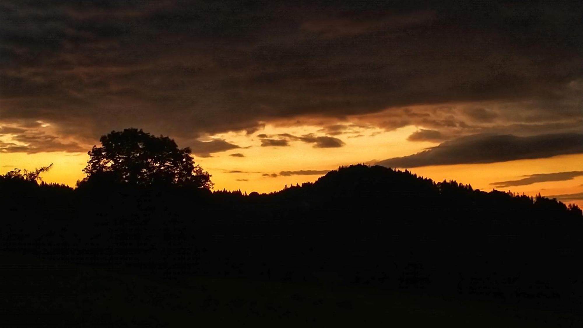 Rezydencja Ostoja Stronie Śląskie Exteriér fotografie