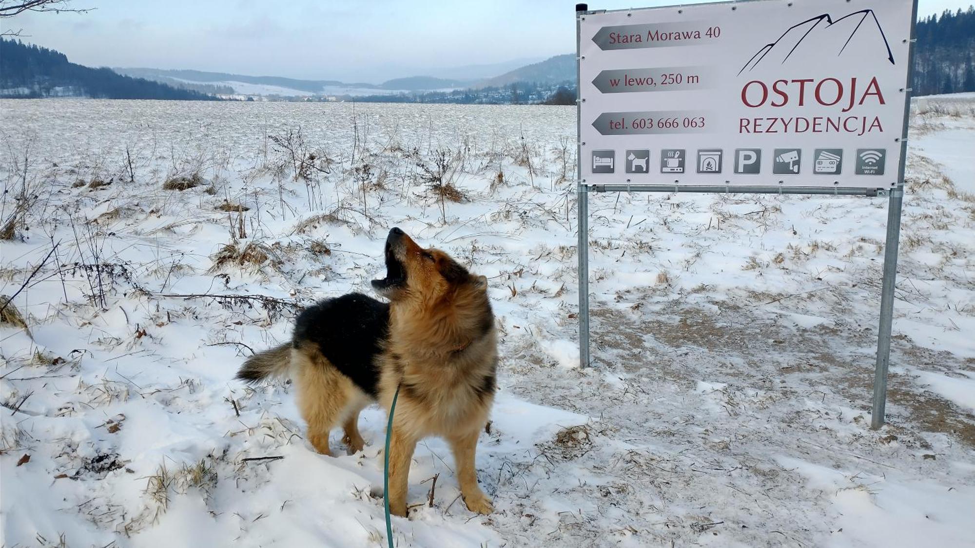 Rezydencja Ostoja Stronie Śląskie Exteriér fotografie